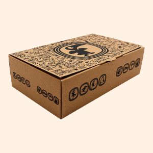 Custom Kraft Packaging Boxes - Verdance Packaging