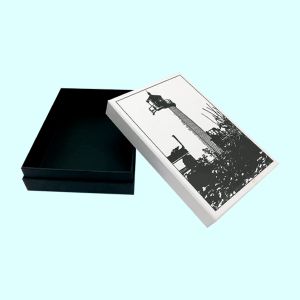 Printed Kraft Apparel Boxes - Verdance Packaging