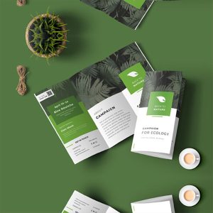 Custom Brochures Printing | Expert Designs, Innovative Folds & Unmatched Services - Image 3